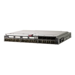 HPE 4Gb Fibre Channel Pass-Thru - Module d'extension - Fibre Channel 4 Go (SW) - fibre optique - 16... (403626-B21)_1