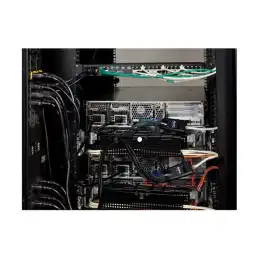 APC Server Module - Rallonge KVM - USB - Conformité TAA - pour KVM 2G Enterprise Analog, Enterprise ... (KVM-USBVM)_2