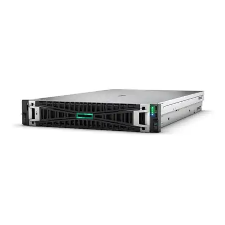 HPE ProLiant DL380 Gen11 Network Choice - Serveur - Montable sur rack 2U - 2 voies - 1 x Xeon Silve... (P60636-421)_1