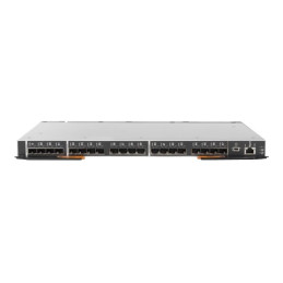 IBM Flex System FC5022 16Gb SAN Scalable Switch (88Y6374)_1