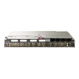 Module d'extension - Fibre Channel 4 Go (SW) - fibre optique - 16 ports - pour BLc3000 Enclosure BL... (403626-B21)_2