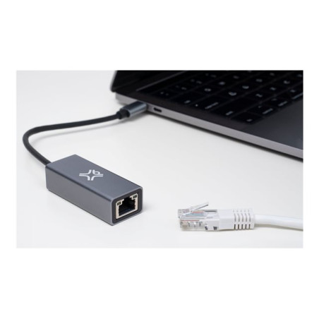 Adaptateur réseau - USB-C - Gigabit Ethernet - argent pomme (XWH-ACE-13)_1